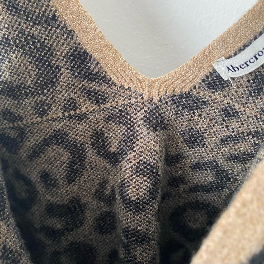 Abercrombie & Fitch | Cheetah V-neck Sweater Tank - Picture 5 of 7